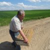 Wsiedlenie Kuropatw w łowisko 10.05.2016 obw 266 i 277